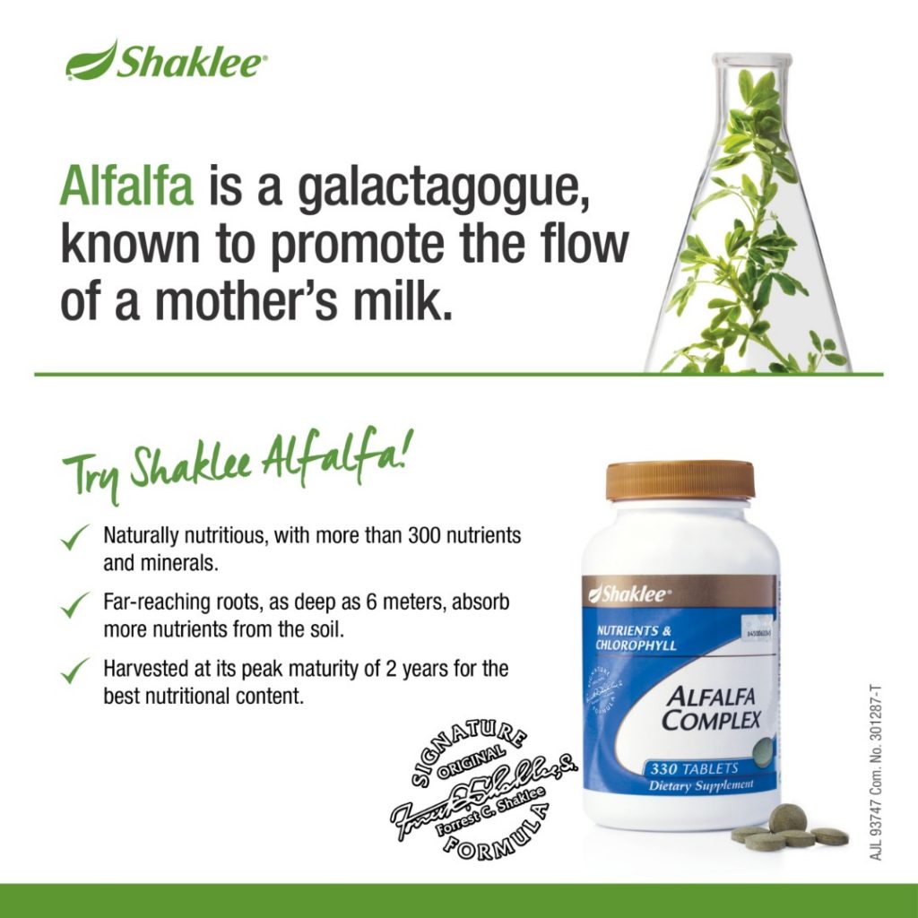 Alfalfa Menggalakkan Penghasilan Susu Ibu - Azura Abdul