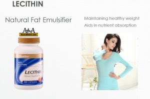 Lecithin Set Berpuasa Shaklee