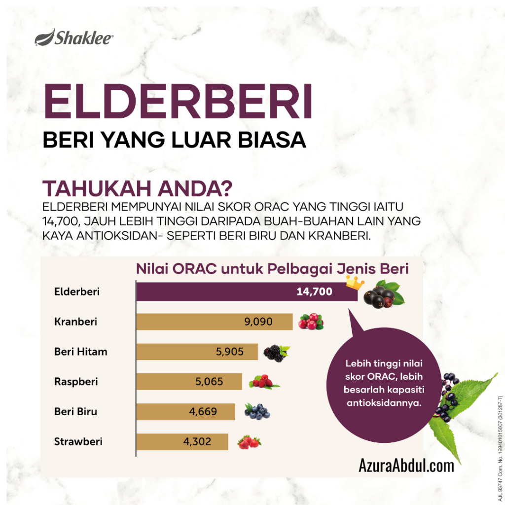Elderberry Life Shake Mixed Soy Protein Shaklee