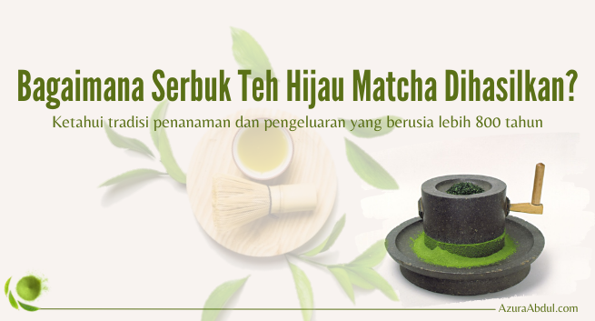 Bagaimana serbuk teh hijau matcha dihasilkan? | Azura Abdul