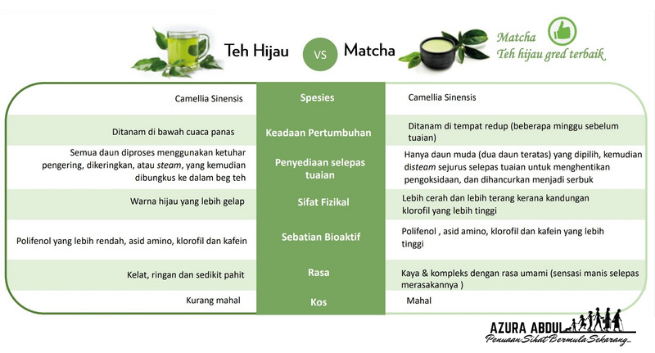 Perbandingan antara teh hijau dan teh matcha | Azura Abdul