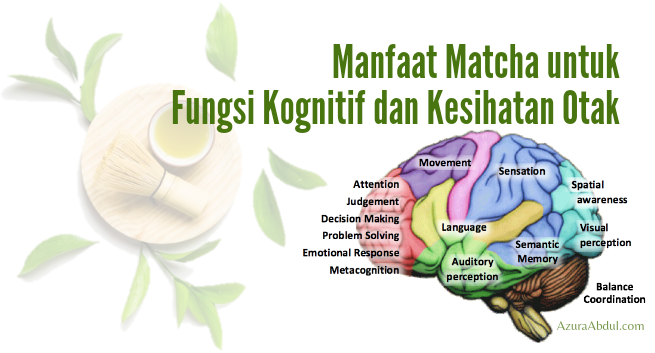 Manfaat Matcha untuk fungsi kognitif dan kesihatan otak | Azura Abdul